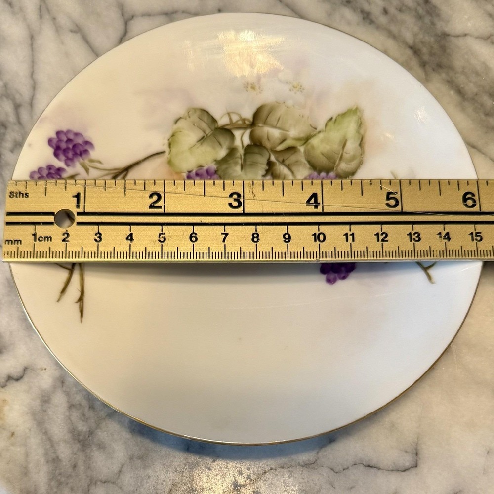 6pc VTG Antique Gotham Austria Hand Painted Signed 6" Fruit Dessertā Plates Gold - Picture 8 of 13